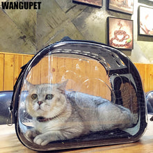 Load image into Gallery viewer, Transparent Folding Cat Pack