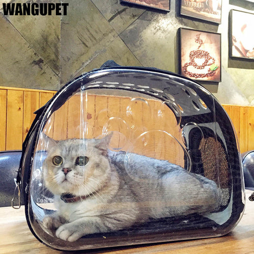 Transparent Folding Cat Pack