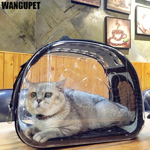 Transparent Folding Cat Pack