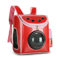 Load image into Gallery viewer, Petshy Space Capsule Astronaut